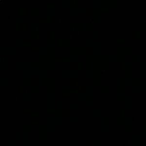 Meet your Posher, Leonel